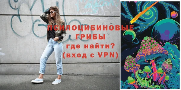 крисы Балахна