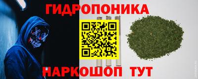 гашик Волгодонск