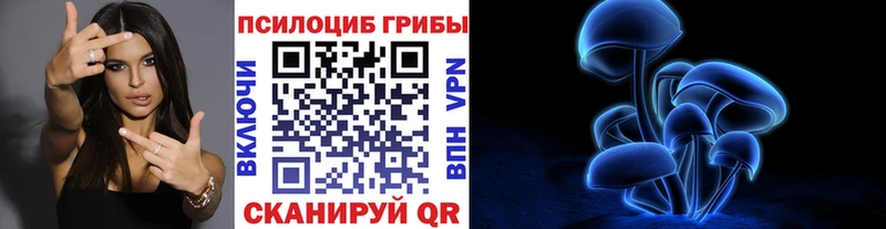 Псилоцибиновые грибы Psilocybine cubensis  дарк нет как зайти  Губкинский  как найти наркотики 