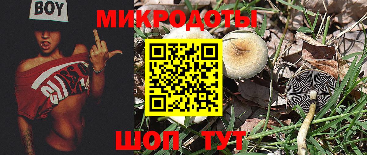 Псилоцибиновые грибы MAGIC MUSHROOMS  наркошоп  Губкинский  Вход с VPN 