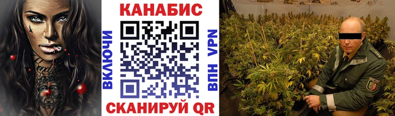 Каннабис гибрид  Губкинский 